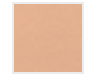 Load image into Gallery viewer, Oil Free Tinted Primer