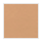 Load image into Gallery viewer, Oil Free Tinted Primer